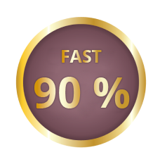 Fast 90% icon