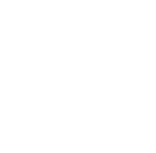 1 Device