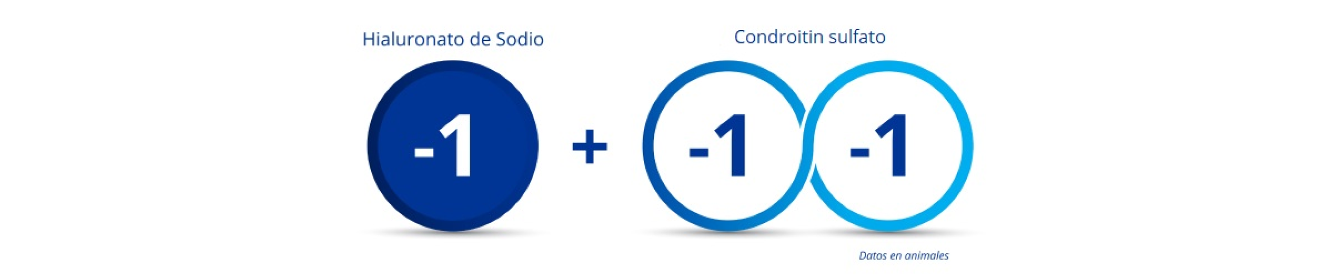 Círculo azul oscuro con el número “-1” en el medio para indicar la carga del hialuronato de sodio. 2 círculos azules interconectados, ambos con el número “-1” para indicar la carga doble negativa del sulfato de condroitina. Hay un símbolo de plus entre el círculo azul oscuro y los dos círculos interconectados para ilustrar que cuando el hialuronato de sodio se combina con el sulfato de condroitina, se obtiene una carga triple negativa.