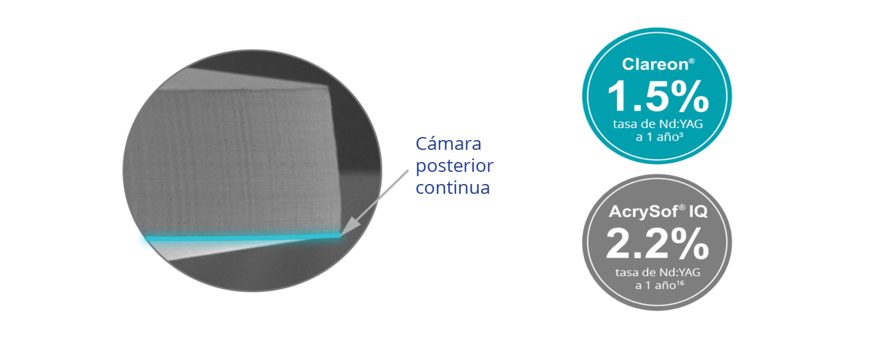 A circular visual of a microscopic image of the Clareon IOL with a teal-coloured line highlighting the continuous posterior barrier. Two circular callouts also appear. The first callout over a teal-coloured background states that the Clareon IOL achieves an Nd:YAG rate of 1.5% at 1 year. The second callout, over a grey background, states that the AcrySof IQ IOL achieves an Nd:YAG rate of 2.2% at 1 year.