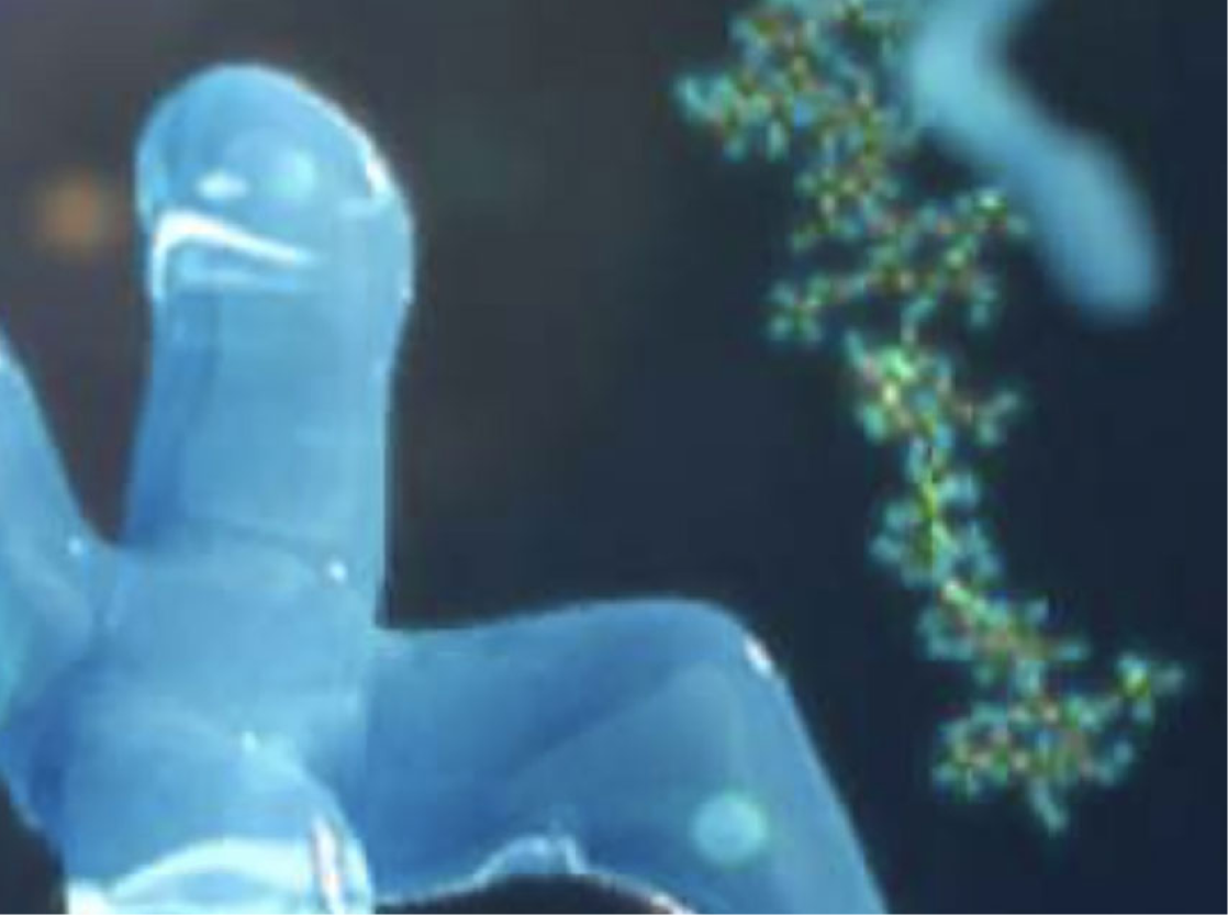 Features and Technology image