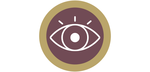 Eye icon