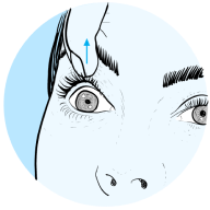 Graphic of preparation steps for contact lens removal