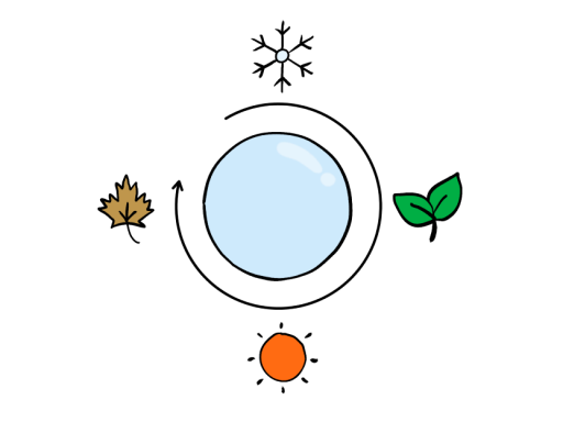 Image of contact lens with snowflake, green leaf, sun and brown leaf