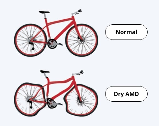 a picture of a bicycle with a description
