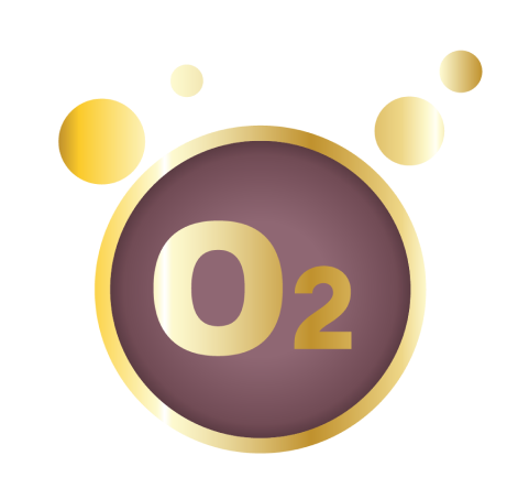 O2 icon