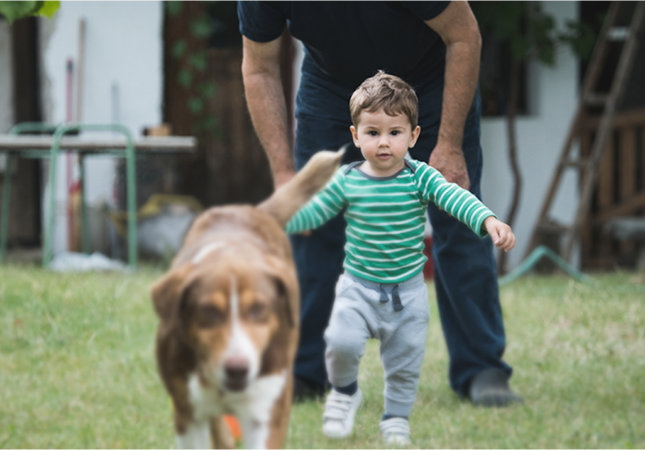 boy walking after dog