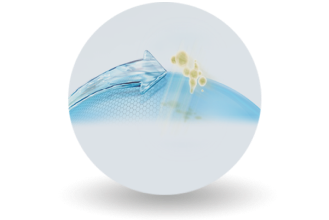 Smartshield technology icon