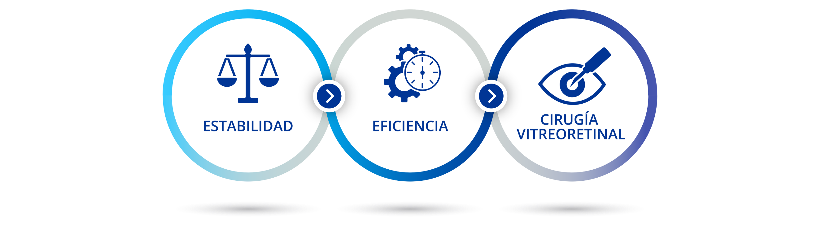 Diagrama que ilustra las tres secciones de esta página web. Icono con balanza con texto debajo que dice: “estabilidad”. Icono de dos engranajes y cronómetro con texto debajo que dice: “eficiencia”. Icono de bisturí apuntando a un ojo con texto debajo que dice “cirugía vitreorretiniana”.