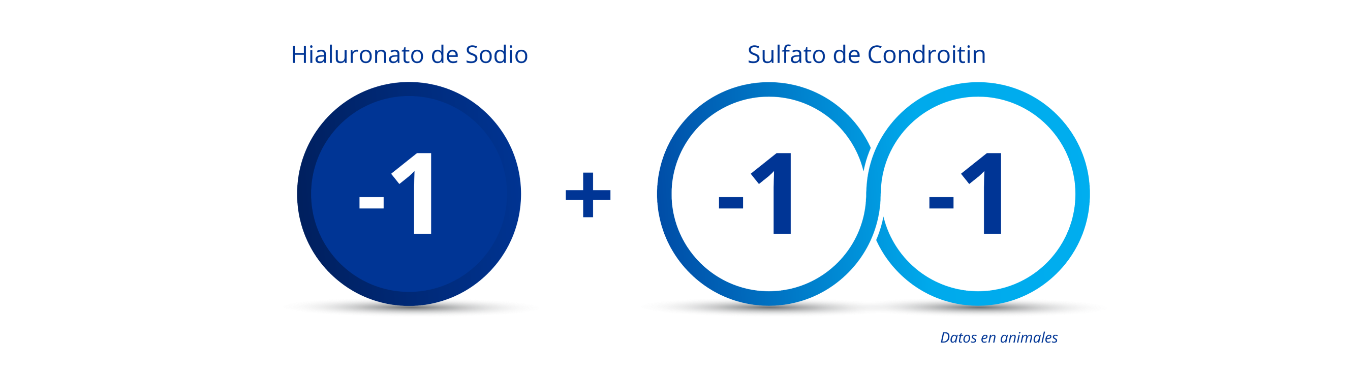 Círculo azul oscuro con el número “-1” en el medio para indicar la carga del hialuronato de sodio. 2 círculos azules interconectados, ambos con el número “-1” para indicar la carga doble negativa del sulfato de condroitina. Hay un símbolo de plus entre el círculo azul oscuro y los dos círculos interconectados para ilustrar que cuando el hialuronato de sodio se combina con el sulfato de condroitina, se obtiene una carga triple negativa.
