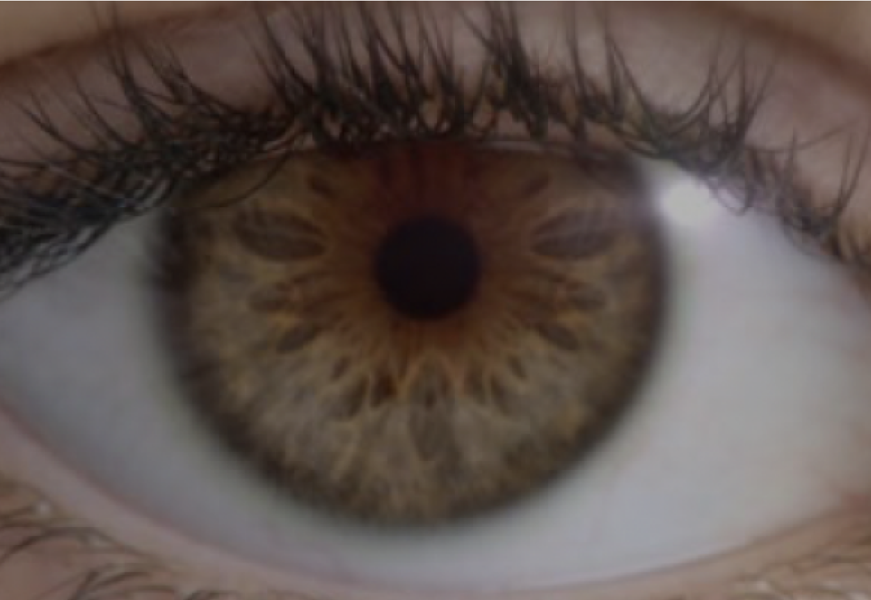 Close-up on brown eye