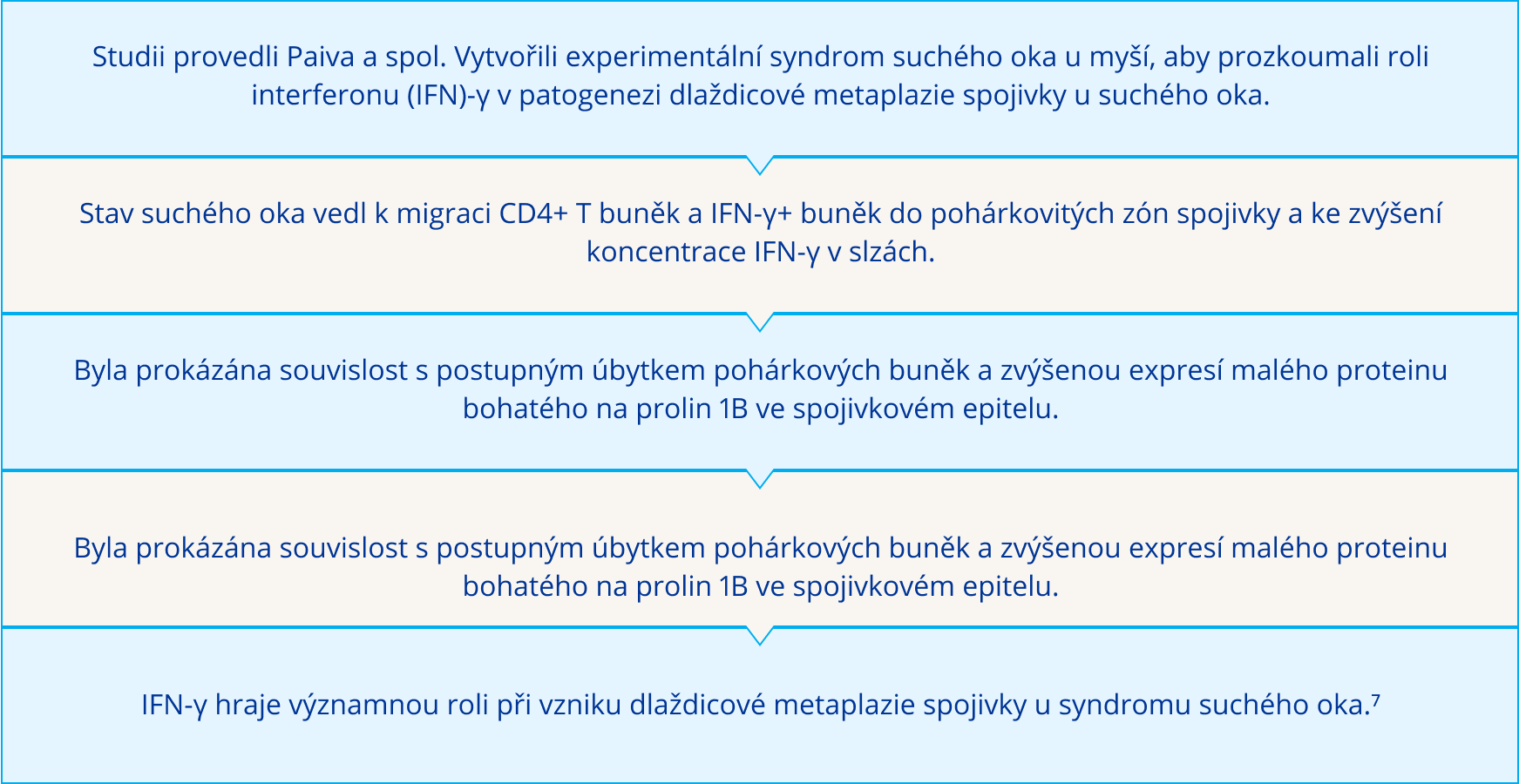 Souhrn zjištění ze studie o roli IFN-γ při syndromu suchého oka. Klíčové body zahrnují: migraci imunitních buněk, ztrátu pohárkových buněk, zvýšené hladiny IFN-γ a jeho zásadní roli ve vývoji dlaždicové metaplazie spojivky.