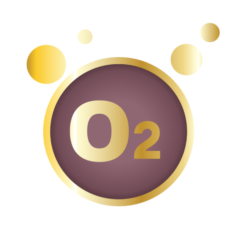 O2 icon