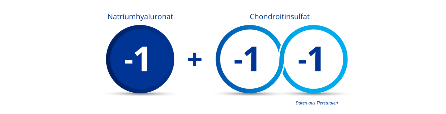 Dunkelblauer Kreis mit der Zahl “-1” in der Mitte, um die Ladung von Natriumhyaluronat anzuzeigen. Zwei blaue, ineinander greifende Kreise, beide mit der Zahl “-1” in der Mitte, um die zweifach negative Ladung von Chondroitinsulfat anzuzeigen.  Ein Plus-Zeichen zwischen dem dunkelblauen und den ineinander greifenden Kreisen zeigt an, dass ein dreifach negativ geladenes Präparat entsteht, wenn Natriumhyaluronat und Chondroitinsulfat miteinander kombiniert werden.