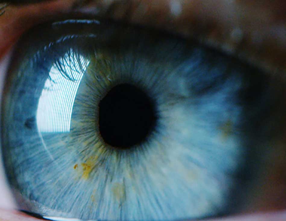 Extrem nahes Bild eines blauen Auges mit Iris, Pupille und reflektiertem Licht