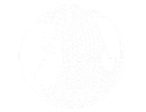 Drahtgitter-3D-Darstellung eines Auges zur Veranschaulichung der digitalen Augenmodellierung