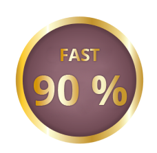 Fast 90% icon