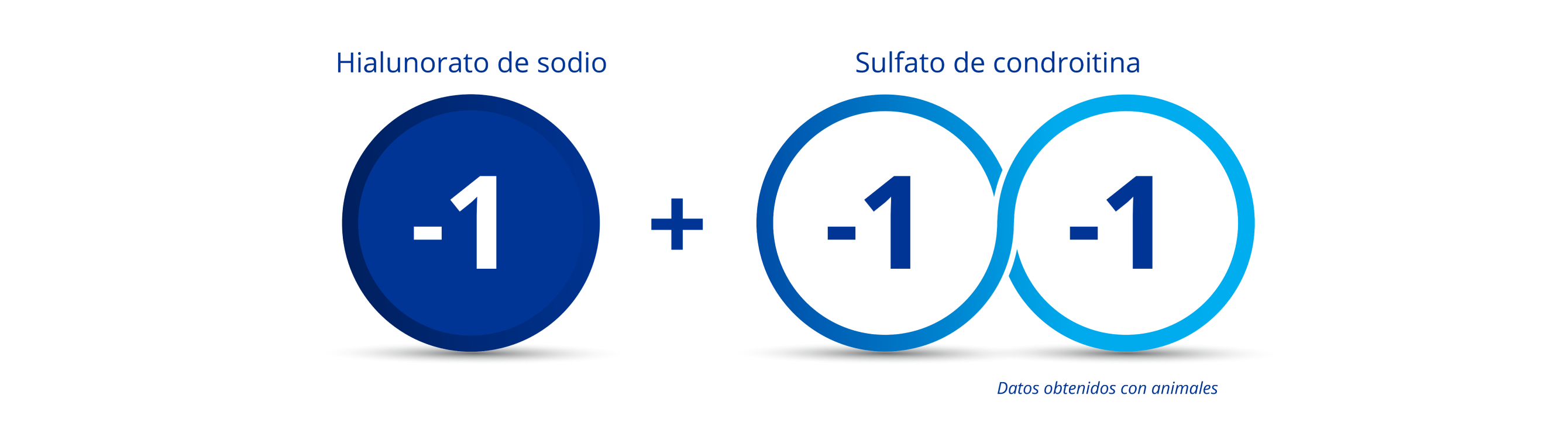 Círculo azul oscuro con el número “-1” en el medio para indicar la carga del hialuronato de sodio. 2 círculos azules interconectados, ambos con el número “-1” para indicar la carga doble negativa del sulfato de condroitina. Hay un símbolo de plus entre el círculo azul oscuro y los dos círculos interconectados para ilustrar que cuando el hialuronato de sodio se combina con el sulfato de condroitina, se obtiene una carga triple negativa.