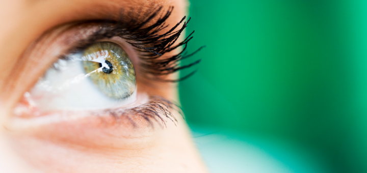 Close up green eye