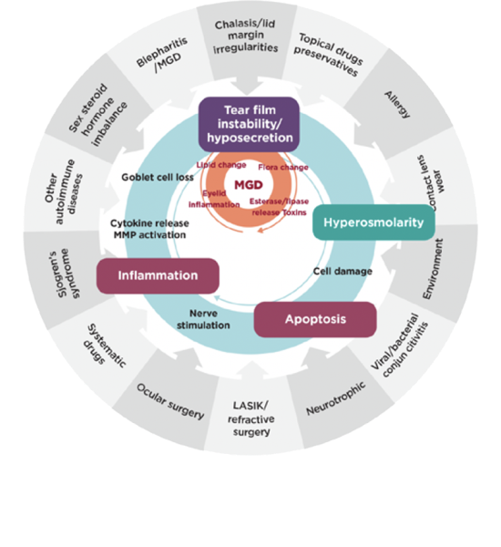 Vicious circle scheme