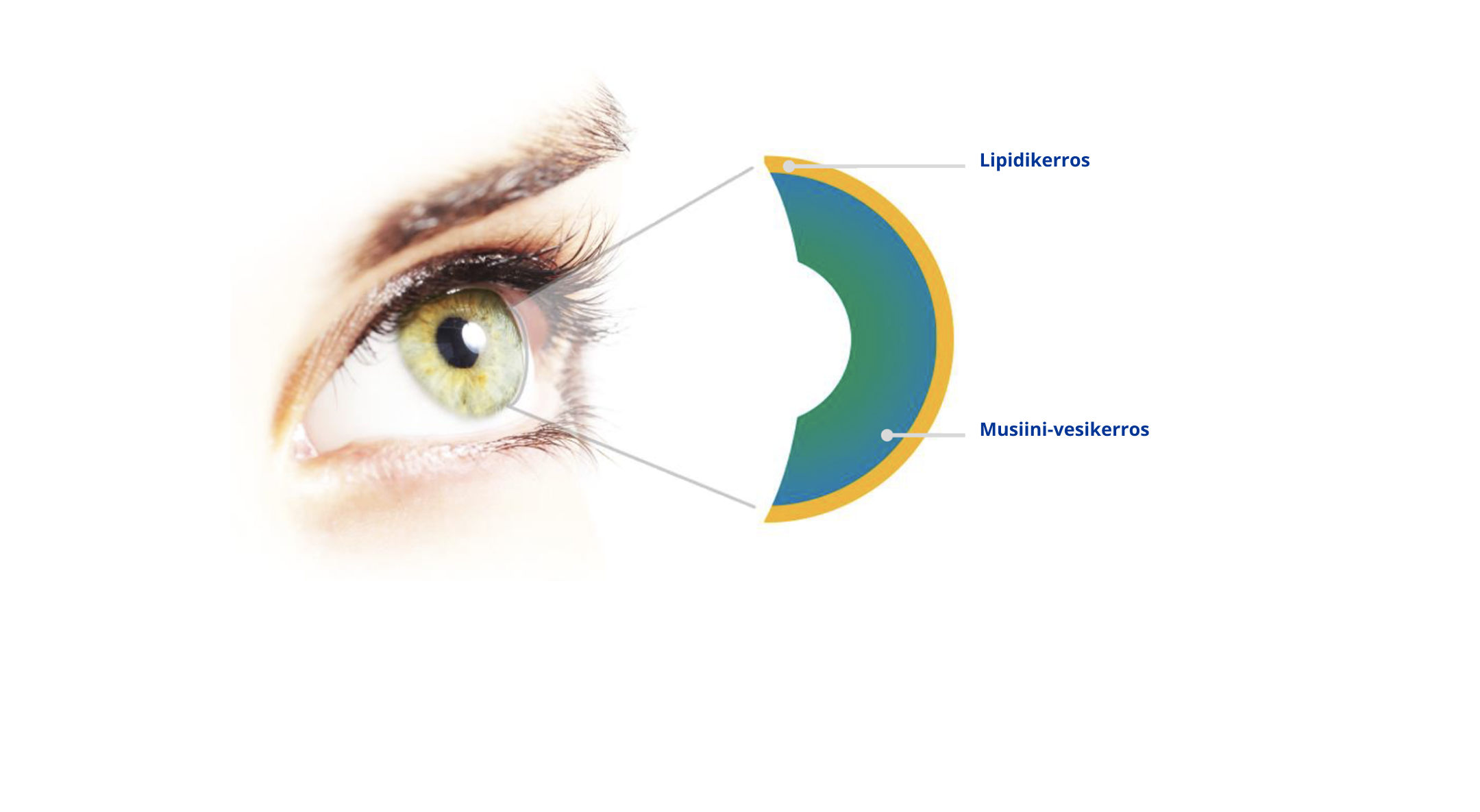 Eye graphic close up
