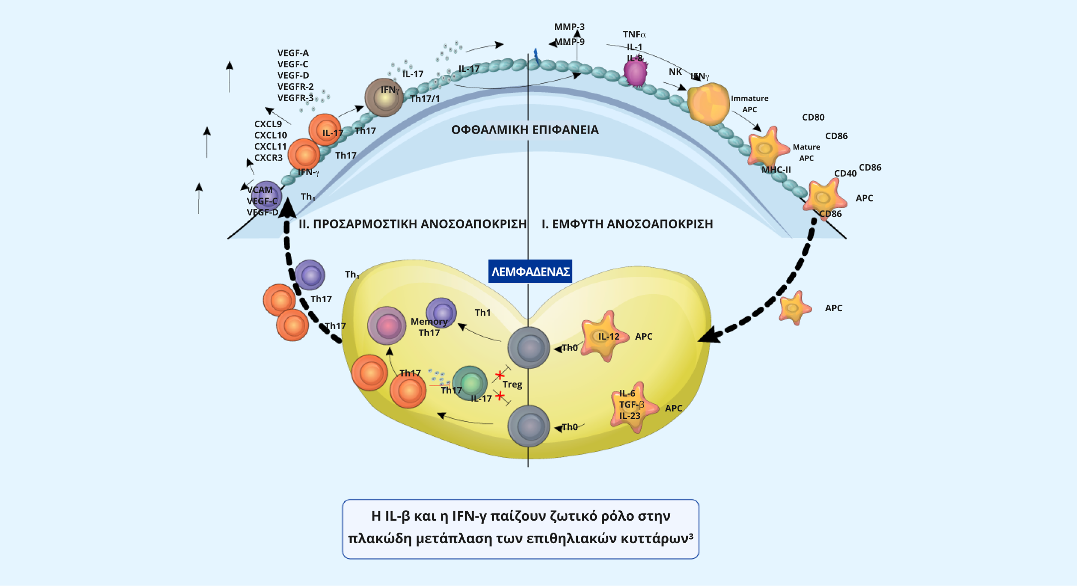 Inflammation in Dry Eye Disease