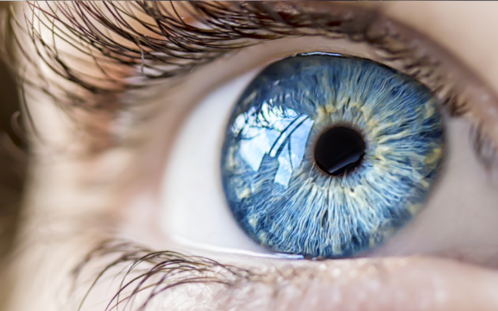 close-up on the blue eye