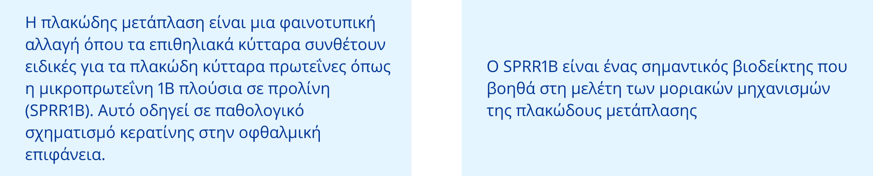 Text in light blue frame