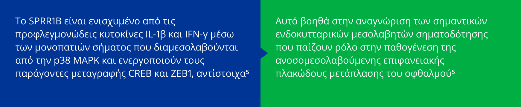 text on blue and green backround