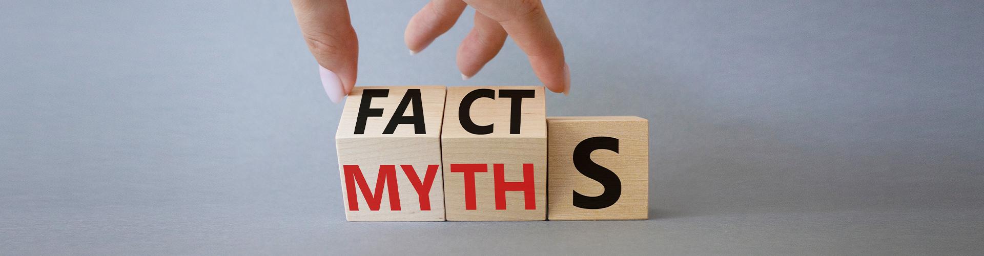 Wooden cubes with facts and myths written on them 