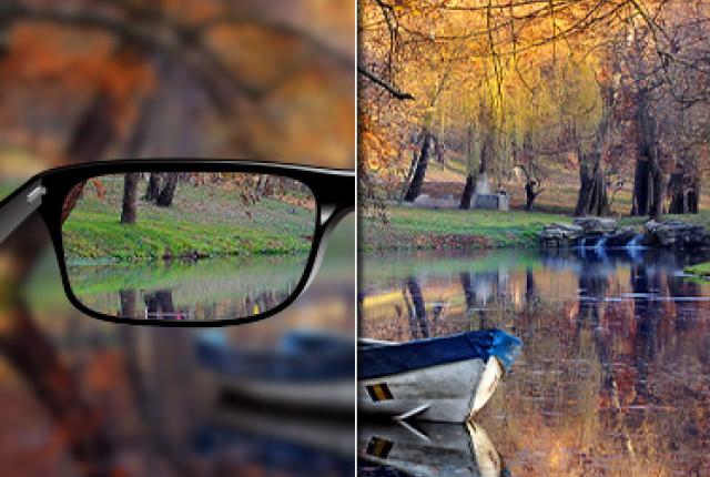 Blurred view of the forest compared to clear and sharp view of the forest