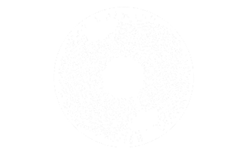 Wireframe eye with precision alignment markers, illustrating customized treatment tailored to the unique structure of the eye.
