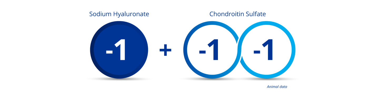 Dark blue circle with the number “-1” in the middle to indicate the charge for sodium hyaluronate. 2 blue interlocking circles both with the numbers “-1” in the middle to indicate chondroitin sulphate’s double negative charge. There is a plus sign between the dark blue circle and the 2 blue interlocking circles to illustrate that when sodium hyaluronate is combined with chondroitin sulphate, a triple negative charge occurs.