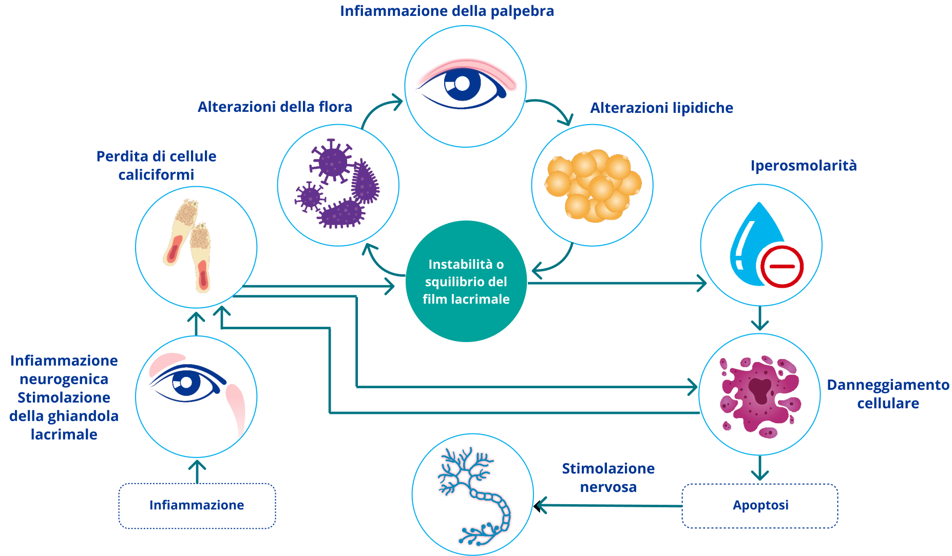 Dry eye pathophysiology diagram