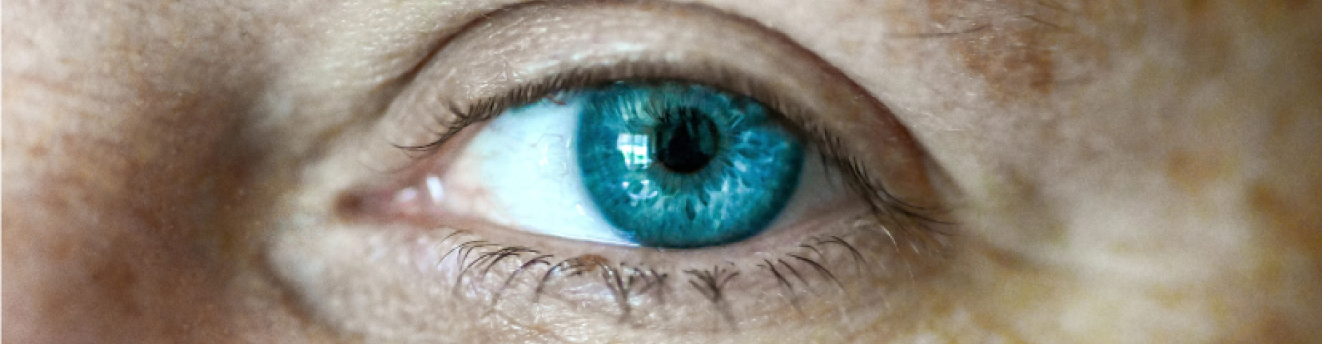 close-up of the blue eye
