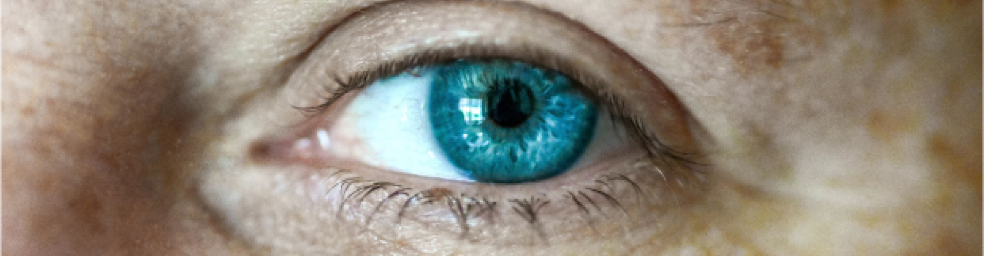 blue eye close-up
