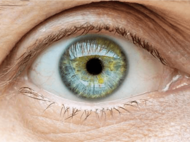 close-up on green eye of a person