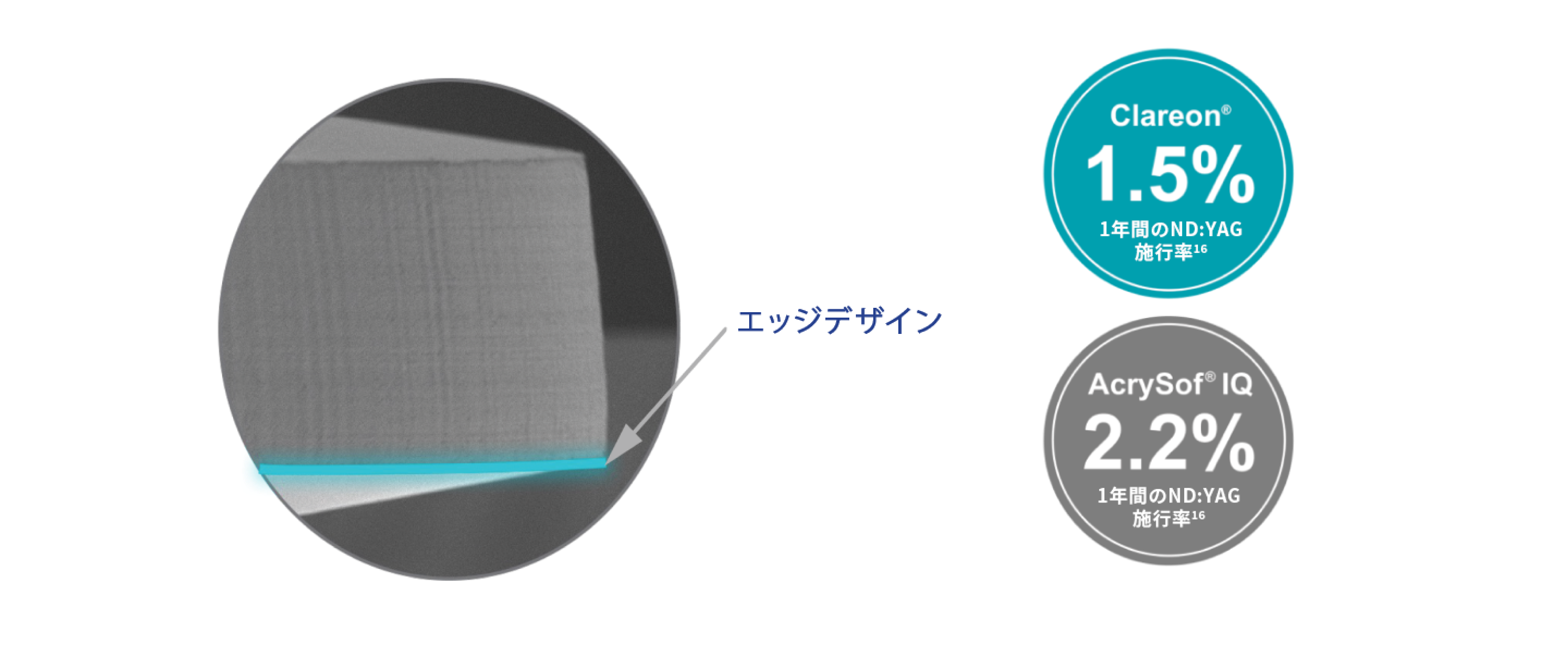 Clareon 眼内レンズの顕微鏡像の円形のビジュアルで、青緑色の線が連続した後方バリアを強調している。 2つの円形の吹き出しも表示されている。青緑色の背景の最初の吹き出しには、Clareon 眼内レンズの1年間のND:YAG施行率が1.5％であることが記載されている。2つ目の吹き出しのグレーの背景では、AcrySof IQ 眼内レンズは1年間のND:YAG施工率は2.2%である。