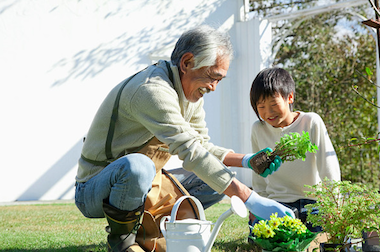 庭でおじいさんと孫が植物・お花を植えている姿。手前にじょうろが置いてある