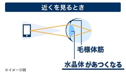 Illustration of the mechanism of human vision