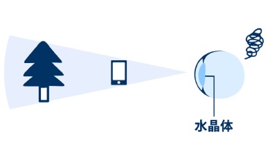 Illustration of the mechanism of human vision