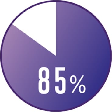 Pie chart showing 85%