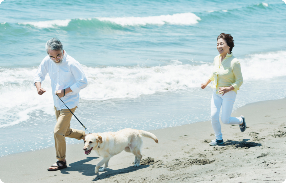 People running on the beach with a dog.