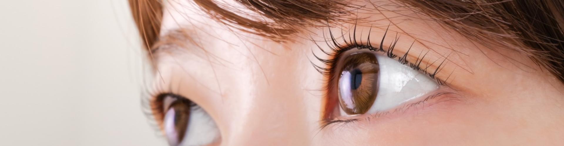 Close-up of brown female eyes