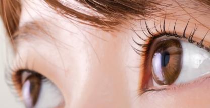 Close-up of brown female eyes