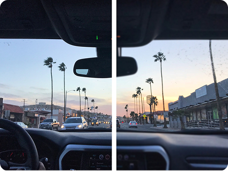 Car View
