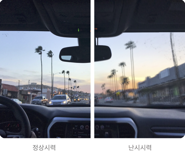 Car View