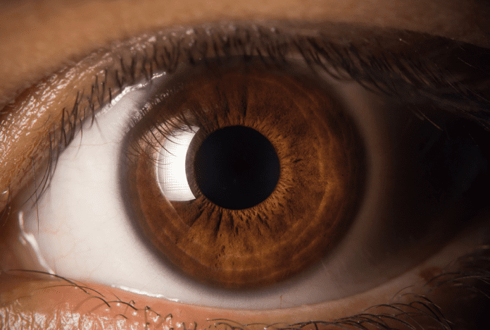 Close-up of a brown eye