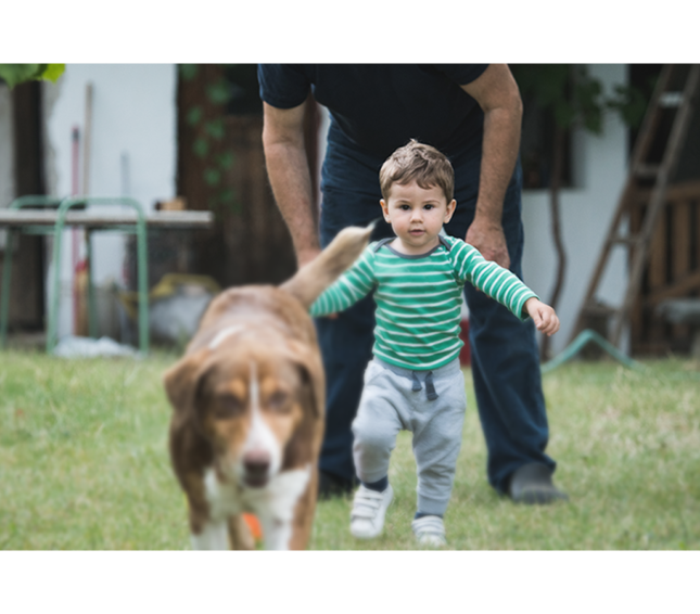 Boy chasing the dog