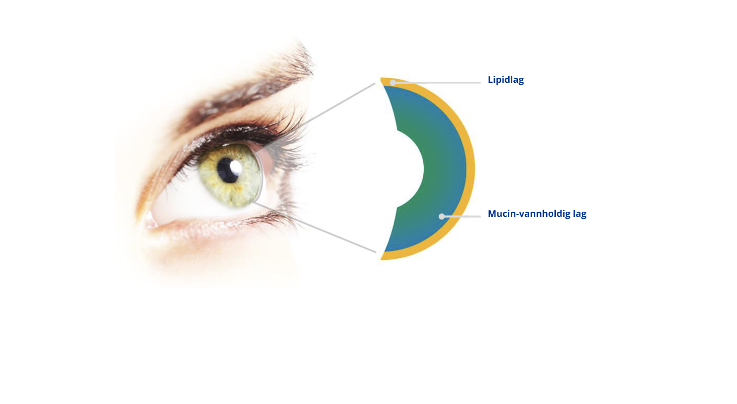 Eye graphic close up